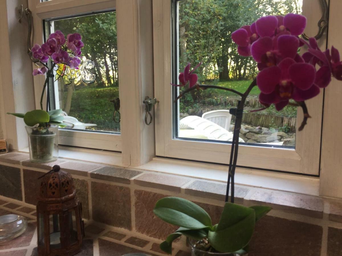 Rosenlund Bed & Breakfast Skovsgårde 外观 照片