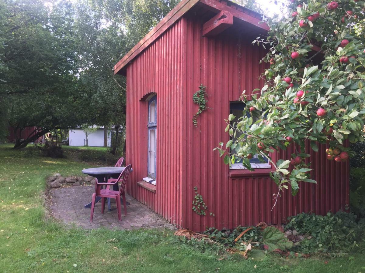 Rosenlund Bed & Breakfast Skovsgårde 外观 照片