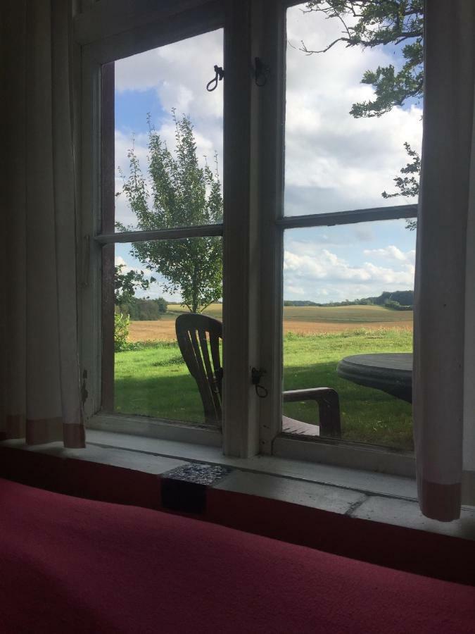 Rosenlund Bed & Breakfast Skovsgårde 外观 照片
